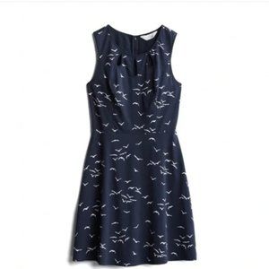 Market & Spruce navy fit and flare dress - cute bird print size M NWT